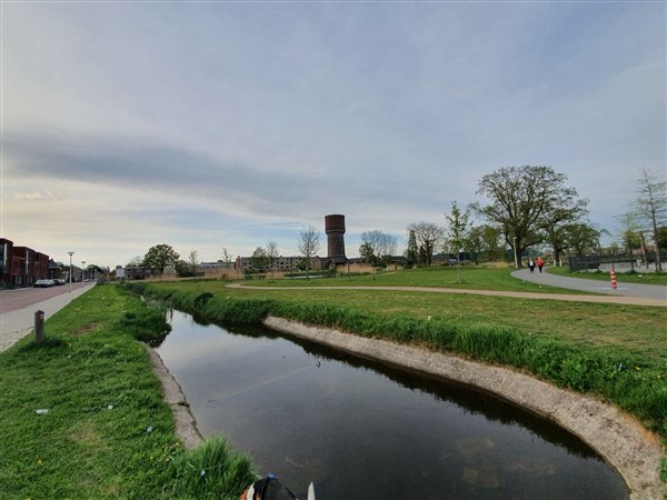 Paden en waterpartijen verbinden de verschillende delen van het park