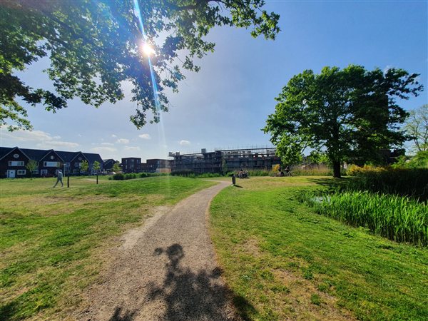Een wandelpad door het groene park onder een blauwe lucht